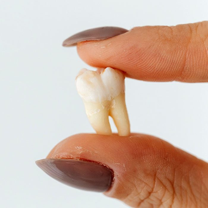 Great Northern Dental Care -